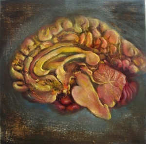 Human Brain (12 x12, óleo sobre tela) - Hall Groat II.